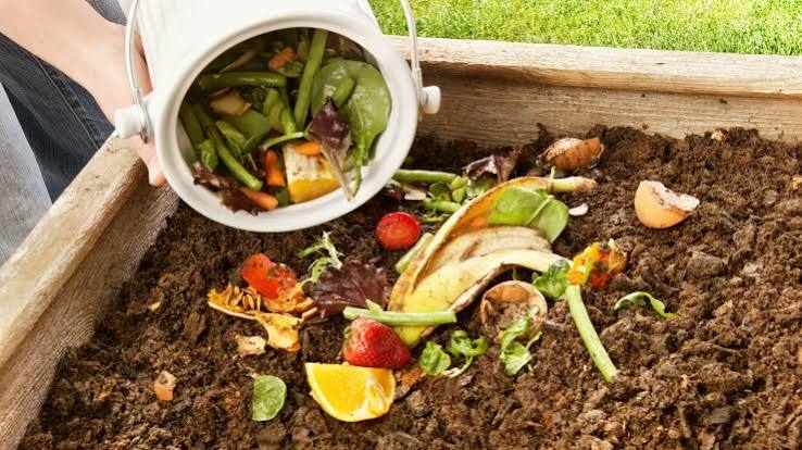 food waste composting kitchen